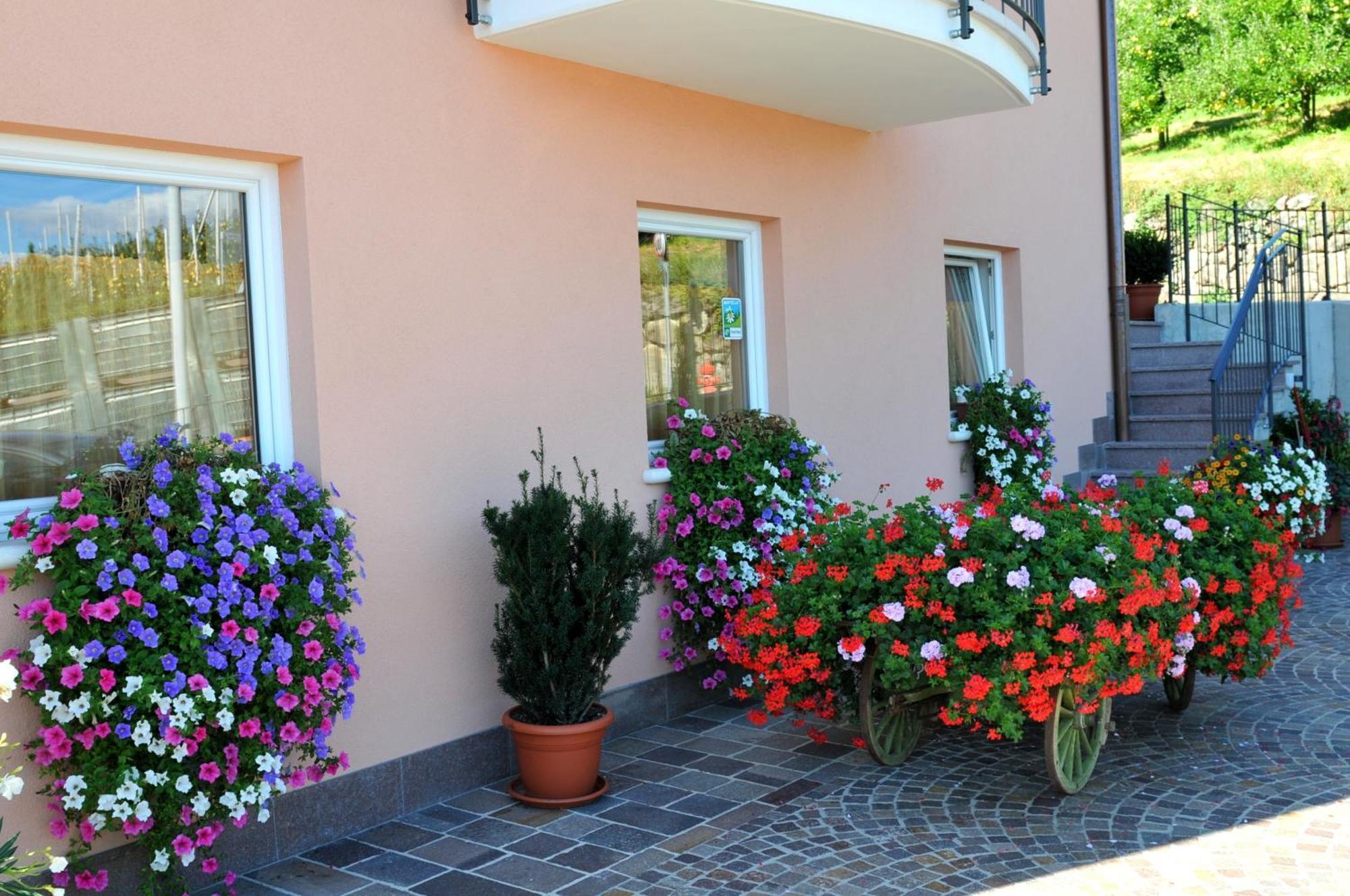 Agritur Le Pergolette Villa Tassullo Exterior photo